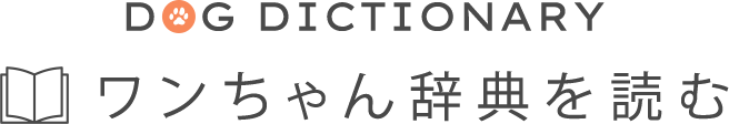 ワンちゃん辞典を読む